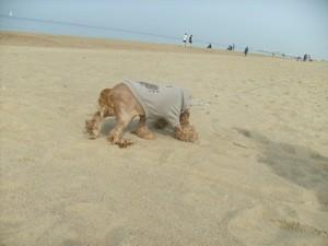 Les beaux jours reviennent! Je sais comment en profiter... Les beaux jours reviennent! Je sais comment en profiter...