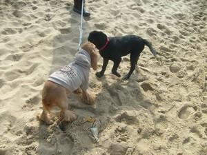 Les beaux jours reviennent! Je sais comment en profiter... Les beaux jours reviennent! Je sais comment en profiter...