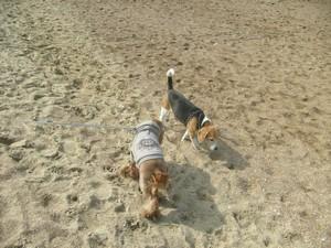 Les beaux jours reviennent! Je sais comment en profiter... Les beaux jours reviennent! Je sais comment en profiter...