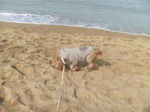 Les beaux jours reviennent! Je sais comment en profiter... Les beaux jours reviennent! Je sais comment en profiter...