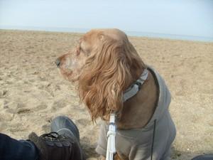 Les beaux jours reviennent! Je sais comment en profiter... Les beaux jours reviennent! Je sais comment en profiter...