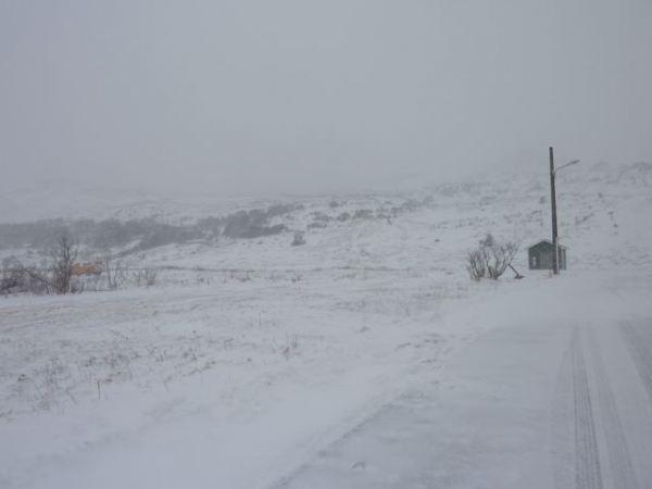 C’est le printemps…. bonjour, bonjour la neige !