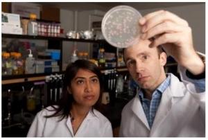 RÉSISTANCE BACTÉRIENNE : Même “chez les bactéries”, il y a des winners et des loosers – Science