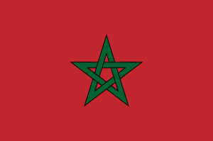 Réforme de la constitution marocaine