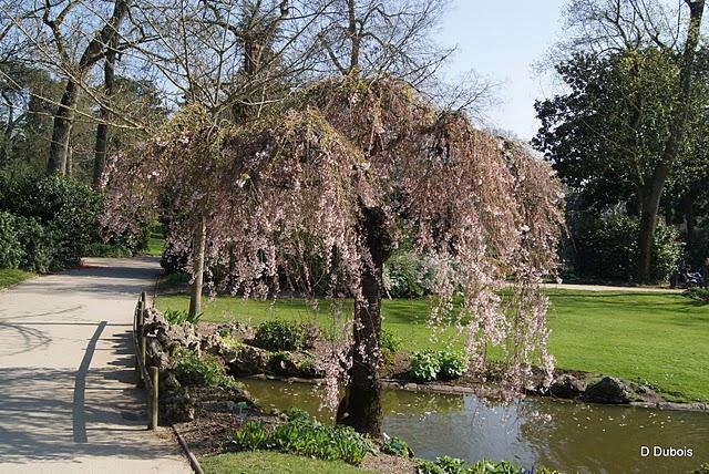 Le Jardin des Plantes de Nantes.