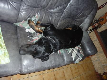 Son chausson P1090605