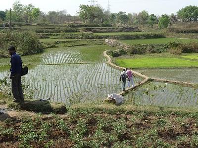 Soleil et bonheur Soleil et bonheur