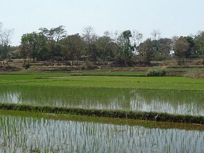 Soleil et bonheur Soleil et bonheur