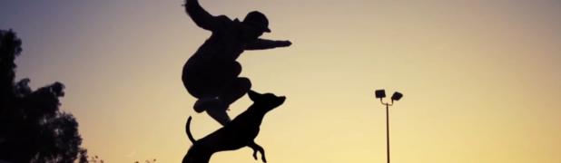 DogBoarding – Skateboard sur des chiens DogBoarding – Skateboard sur des chiens