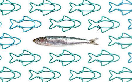 Un packaging original de “trombones-sardines”, par l’agence Ototo