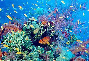 science-de-la-mer.jpg