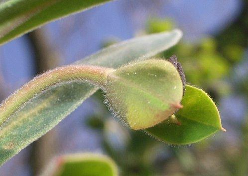 Il faut que tu respires ... IMGP9784.JPG