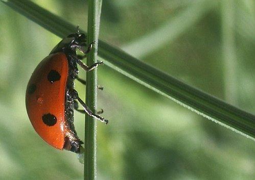 Il faut que tu respires ... IMGP9888