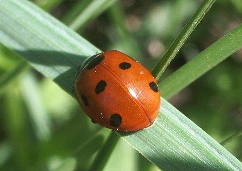 Il faut que tu respires ... IMGP9891
