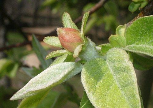 Il faut que tu respires ... IMGP9871.JPG