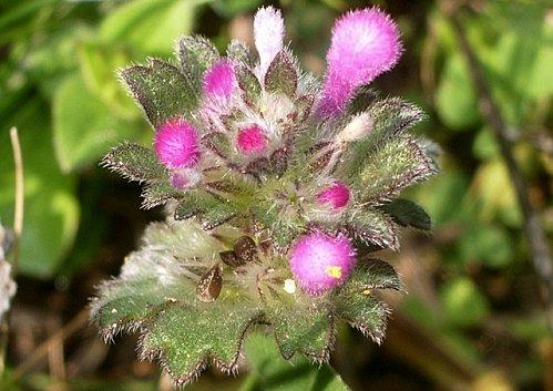 Il faut que tu respires ... IMGP9854.JPG