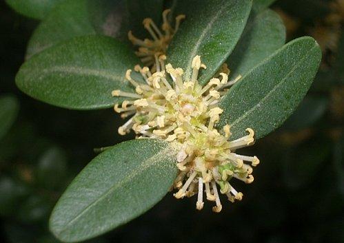 Il faut que tu respires ... IMGP9649.JPG