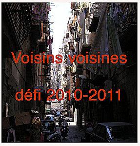 Les lieux infidèles de Tana FRENCH challenge voisins voisines
