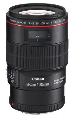 Test : l’objectif macro Canon EF 100mm F/2.8 L IS USM