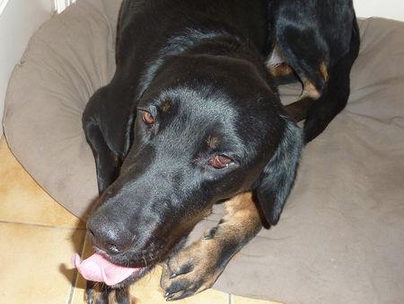 Quand je vous dis que j'aime le plastique ! P1090612