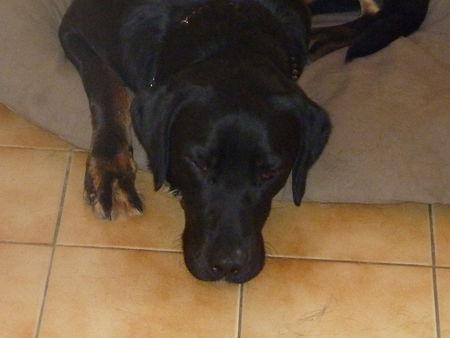 Quand je vous dis que j'aime le plastique ! P1090611