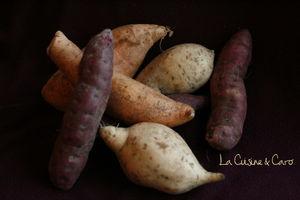 patate_douce_couleur