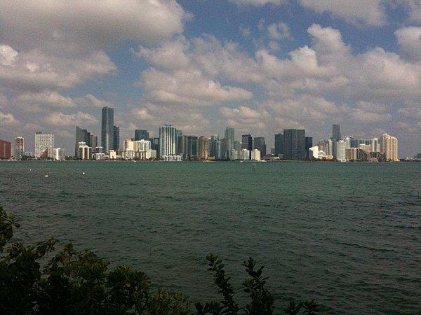 Brunch du dimanche à Miami..... vue-de-miami.jpg