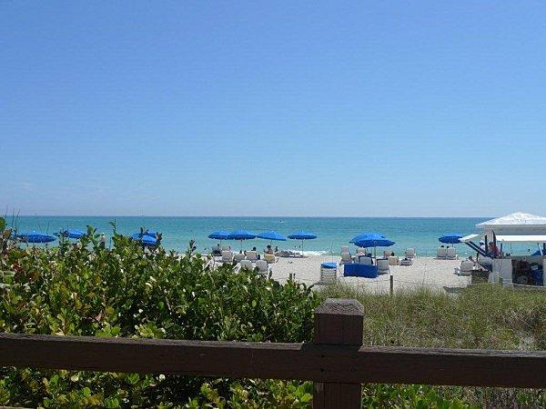 Brunch du dimanche à Miami..... de-la-promenade.jpg