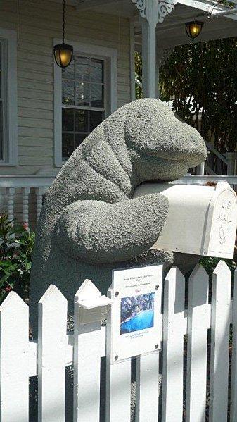Key West..... phoque.jpg