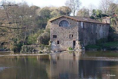 Petite Balade au Bords de la  Sèvre Nantaise .

Dépa...