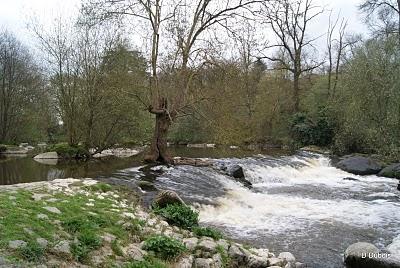 Petite Balade au Bords de la  Sèvre Nantaise .

Dépa...