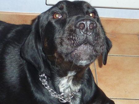 J'adore faire la poubelle P1090657