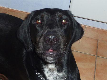 J'adore faire la poubelle P1090661