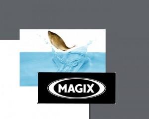 deux photos logo+fish 300x239 Le poisson davril de MAGIX avec le logiciel de retouche Photo & Graphic Designer