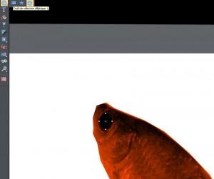 screenshot oeil de poisson 300x251 Le poisson davril de MAGIX avec le logiciel de retouche Photo & Graphic Designer