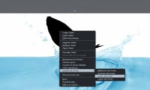 screenshot croiser les formes fish 300x181 Le poisson davril de MAGIX avec le logiciel de retouche Photo & Graphic Designer