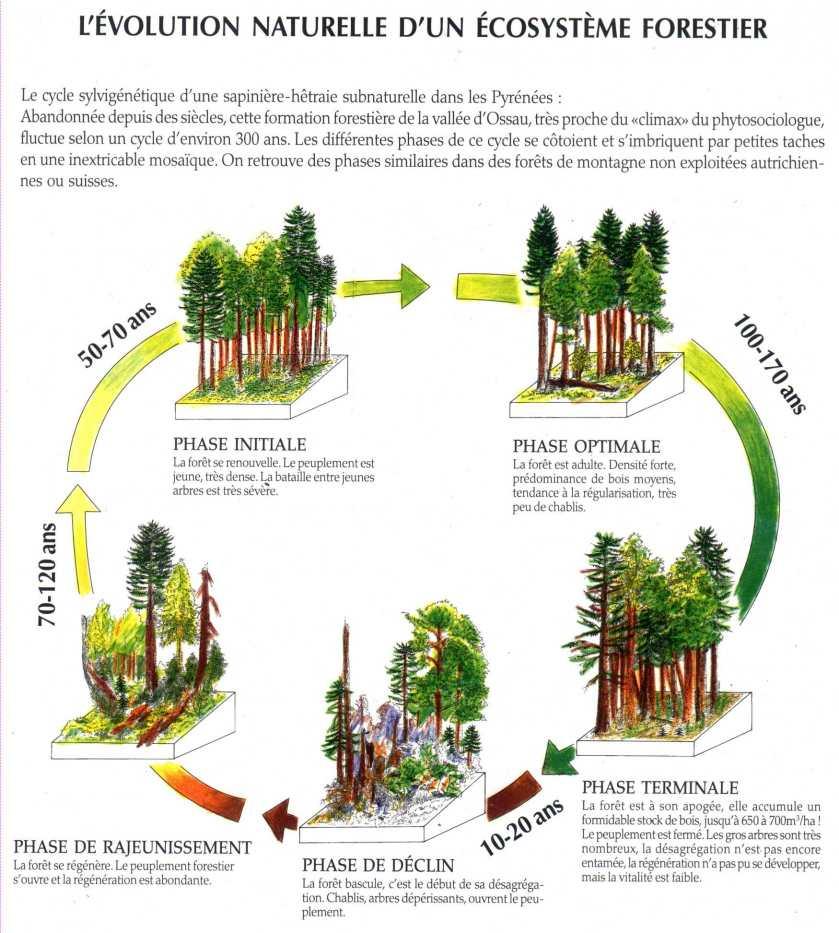 Evolution des écosystèmes