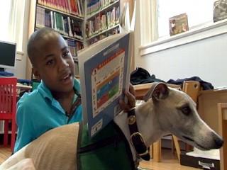 Les chiens aident à lire studyreadingtodogshelpschildrenlearntoread.jpeg