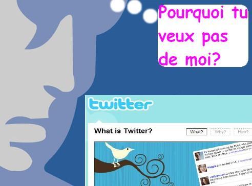 Facebook - Twitter  - Montage Le Post