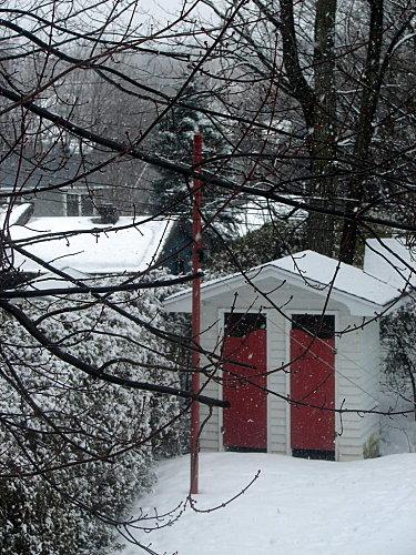 Comme un poisson dans la neige DSC09768-copie-3