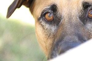 mon cadeau mars-tival-026.JPG