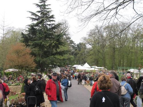 Fête des plantes : quelques envies vertes pour courir à Saint Jean de Beauregard
