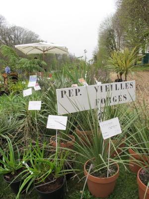 Fête des plantes : quelques envies vertes pour courir à Saint Jean de Beauregard