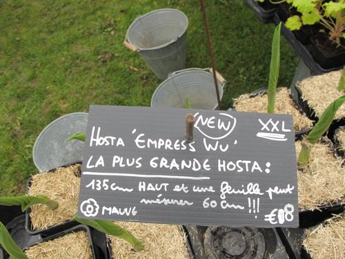 Fête des plantes : quelques envies vertes pour courir à Saint Jean de Beauregard