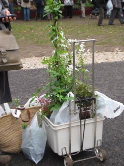 Fête des plantes : quelques envies vertes pour courir à Saint Jean de Beauregard