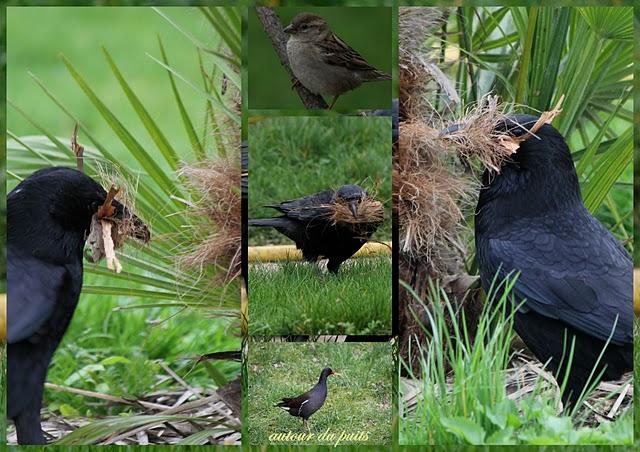 JARDIN DES PLANTES JARDIN DES PLANTES