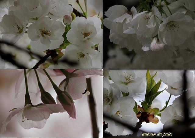 JARDIN DES PLANTES JARDIN DES PLANTES
