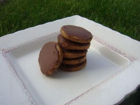 GRANOLA AU CHOCOLAT DE BENOIT MOLIN DSC07625