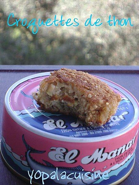 Croquettes Party Spécial Fliflettes Paresseuses... Diapositive4-copie-4