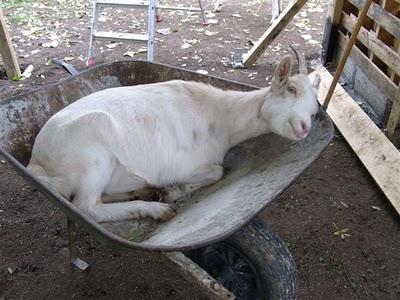 de choses et d'autres de choses et d'autres